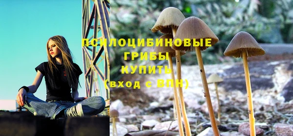 крисы Абаза