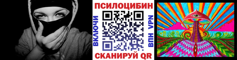 Галлюциногенные грибы GOLDEN TEACHER MEGA ссылка Ладушкин где купить наркоту
